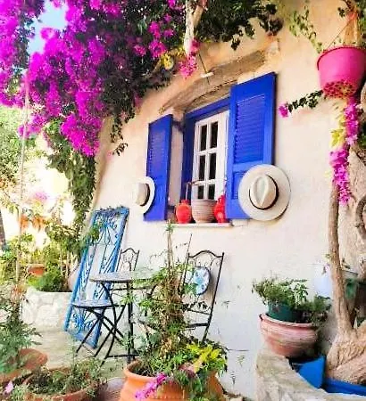 Celestine Apartment, Arillas, Korfu Apartment