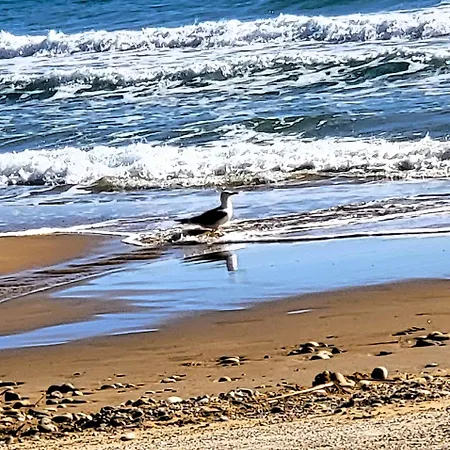 Apartament Celestine Apartment, Arillas, Korfu *